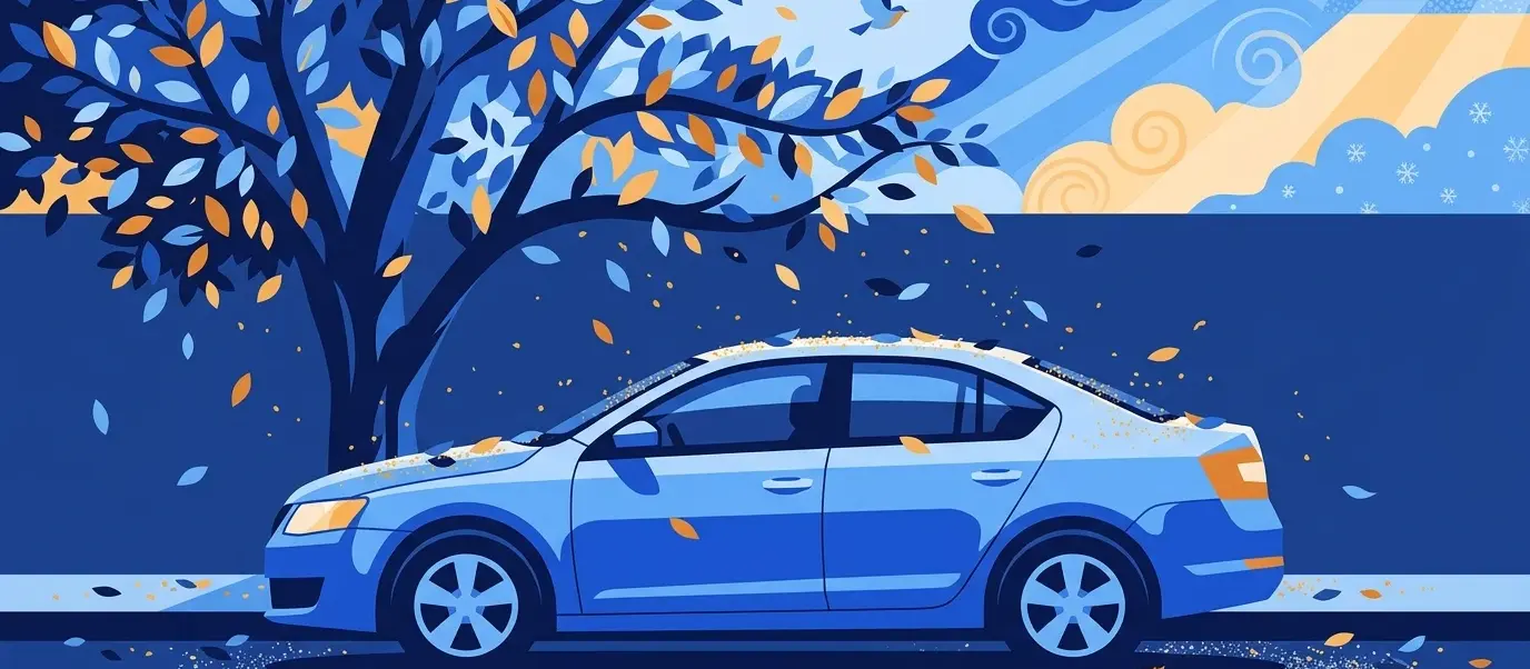 Illustration for the guide: How often should you wash your car?